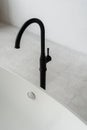 Comfortable bathtub with black modern faucet in contemporary bathroom Royalty Free Stock Photo