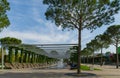 Comfortable benches with climbing Aristolochia plant under pergola. Fountain Three streams turning into complex of fountains