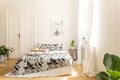 Comfortable big bed with white and black flower design bedding and a breakfast tray on in a wooden floor bright bedroom interior. Royalty Free Stock Photo