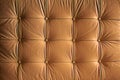 Comfortable Buttoned Leather Pattern