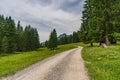 Comfortable circular hike near SchÃÂ¶nenbach in Vorarlberg, Austria