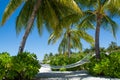 Comfortable cozy hammock between palm trees at the tropical island Royalty Free Stock Photo
