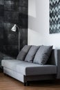 Comfortable gray sofa Royalty Free Stock Photo