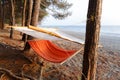 Comfortable hammock with protection against direct sunlight hangs between pines on the beach of Black sea