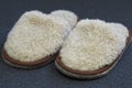 Comfortable indoor slippers on a soft carpet. The concept of comfort, warmth and coziness.