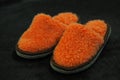 Comfortable indoor slippers on a soft carpet. The concept of comfort, warmth and coziness.