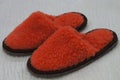 Comfortable indoor slippers on a soft carpet. The concept of comfort, warmth and coziness.