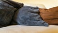 Comfortable pillows in grey and brown lying on the sofa