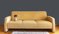 Comfortable sofa with decoration