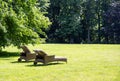 Comfortable sun lounge chairs to relax under an old tree on the lawn in a park on a sunny summer day, copy space Royalty Free Stock Photo