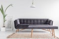 Comfortable upholstered bench on a beige rug and a large, velvet sofa in a bright, white living room interior with a plant. Real p