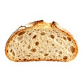 Comforting slice of rustic sourdough bread with golden brown crust Royalty Free Stock Photo