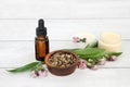 Comfrey Herb Root Used in Natural Herbal Medicine