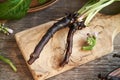 Comfrey or knitbone root on a wooden cutting board Royalty Free Stock Photo