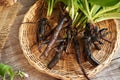 Comfrey root in a basket on a table Royalty Free Stock Photo