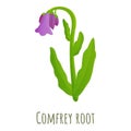 Comfrey root icon, cartoon style
