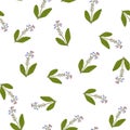 Comfrey seamless pattern Royalty Free Stock Photo