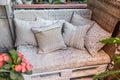 Comfy couch with pillows surrounded by houseplants