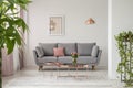 Comfy sofa, copper coffee table and plants in a bright living room interior