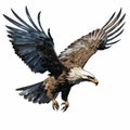 Comic Book Style Eagle In Flight Image By Travis Charest Royalty Free Stock Photo