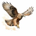 Comic Book Style Hawk In Flight Image By Travis Charest Royalty Free Stock Photo