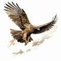 Comic Book Style Hawk In Flight Image By Travis Charest Royalty Free Stock Photo