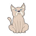 comic cartoon grumpy little dog