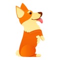 Comic corgi dog icon, cartoon style Royalty Free Stock Photo