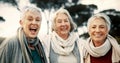 Comic, laughing and senior woman friends outdoor in a park together for bonding during retirement. Portrait, smile and Royalty Free Stock Photo