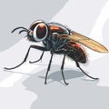 comic style fly vector for graphic design Royalty Free Stock Photo