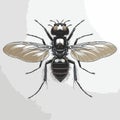 comic style fly vector for graphic design Royalty Free Stock Photo