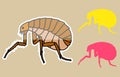 Comic Tick Insects Royalty Free Stock Photo