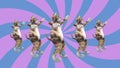 Comic pussycats waving paws and tail in an energetic dancing clip summer mood