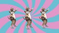 Comic pussycats waving paws and tail in an energetic dancing clip summer mood