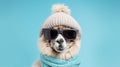 Comical Alpaca in a winter hat and glasses isolated on a blue background. Space for text