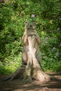 Comical Carving of a Bear Leaning on a Tree Fullarton Park Troon Scotland Royalty Free Stock Photo