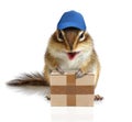 Comical chipmunk courier hold parcel Royalty Free Stock Photo