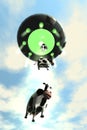 Comical Cow Abduction 2 Royalty Free Stock Photo