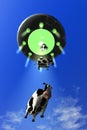 Comical Cow Abduction 3 Royalty Free Stock Photo