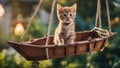 A comical kitten pretending to be a little pirate, hanging from a cardboard ship in a backyard