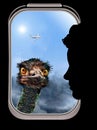 emu peers into the window of a passenger airliner