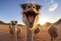 Comical Ostrich selfie funny. Generate Ai Royalty Free Stock Photo