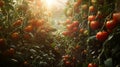 A comically oversized tomato garden, plants stretching upwards like skyscrapers, branches heavy with luminous red