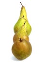 Comice Pear, Williams Pear, Beurre Hardy Pear, Conference Pear, pyrus communis, Fruits against White Background