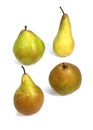 Comice Pear, Williams Pear, Beurre Hardy Pear, Conference Pear, pyrus communis, Fruits against White Background