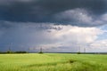 Coming Heavy Thunderstorm over Meadow at Summer Day