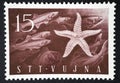 Commemorative stamp with the image of a starfish