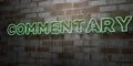 COMMENTARY - Glowing Neon Sign on stonework wall - 3D rendered royalty free stock illustration