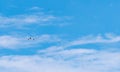 Commercial airline flying on blue sky and white fluffy clouds. Airplane flying on sunny day. Rear view of international flight Royalty Free Stock Photo