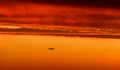 Commercial airplane flying on beautiful sunset sky. Silhouette plane view with copy space. Royalty Free Stock Photo